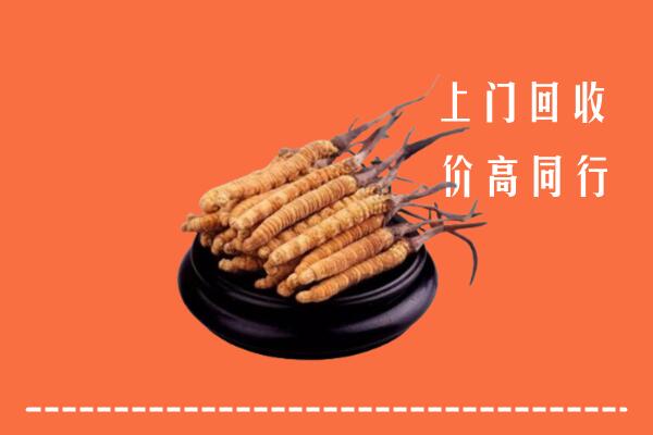高价求购：枣庄峄城区回收散虫草