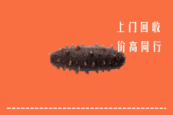 高价求购：枣庄峄城区回收海参
