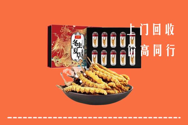 枣庄峄城区回收虫草